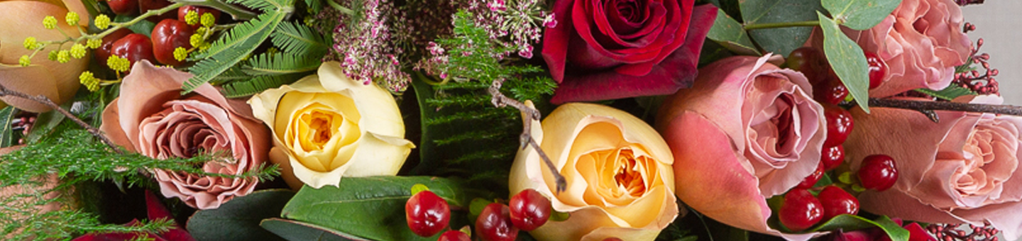 Christmas Flowers