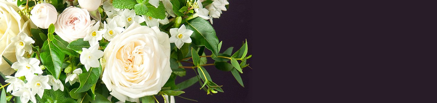 Narcissi