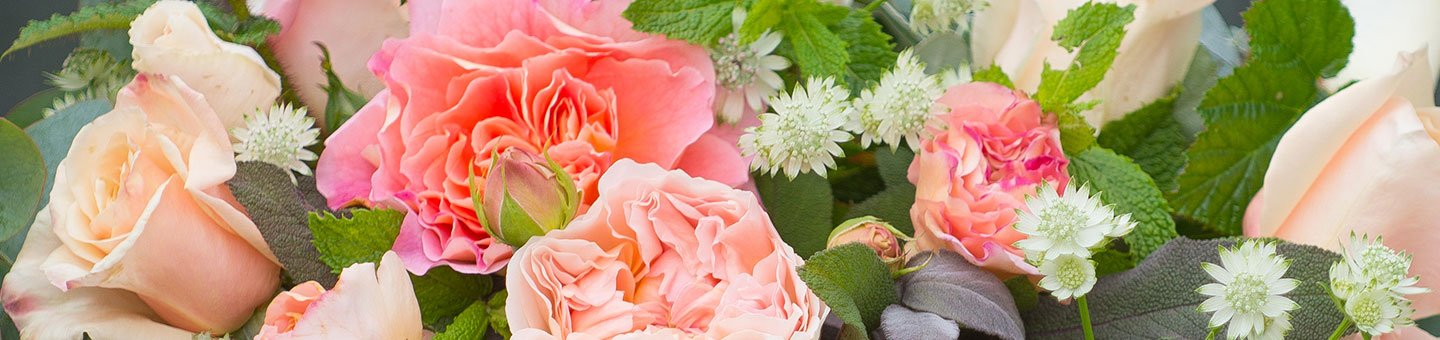 Peach Flowers