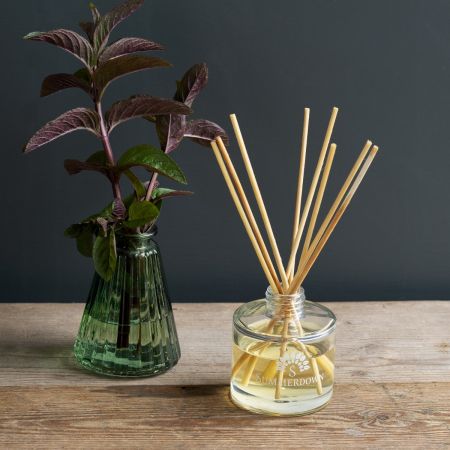 Summerdown Peppermint & Lemongrass Reed Diffuser
