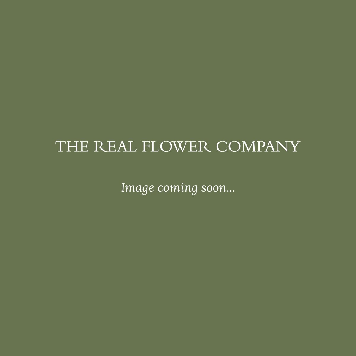 Flower Subscription